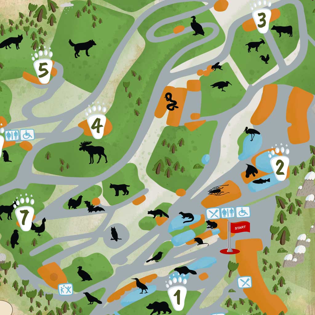 Zoo landscape and pathways recreated on the Alpenzoo quest map
